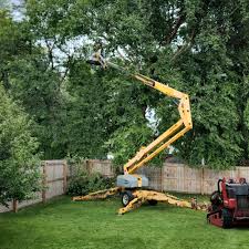 Reliable Rutledge, GA Tree Services Solutions