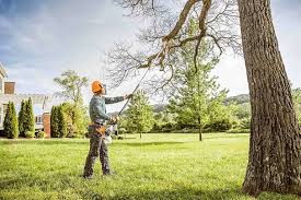  Rutledge, GA Tree Services Pros