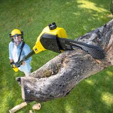 Best Lawn Watering Services  in Rutledge, GA